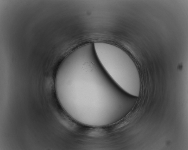 X0000102490459200808081100