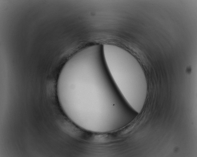 X0000102490461200808081100