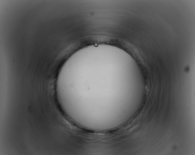 X0000102490462200808081100