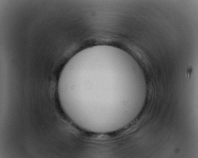 X0000102490463200808081100