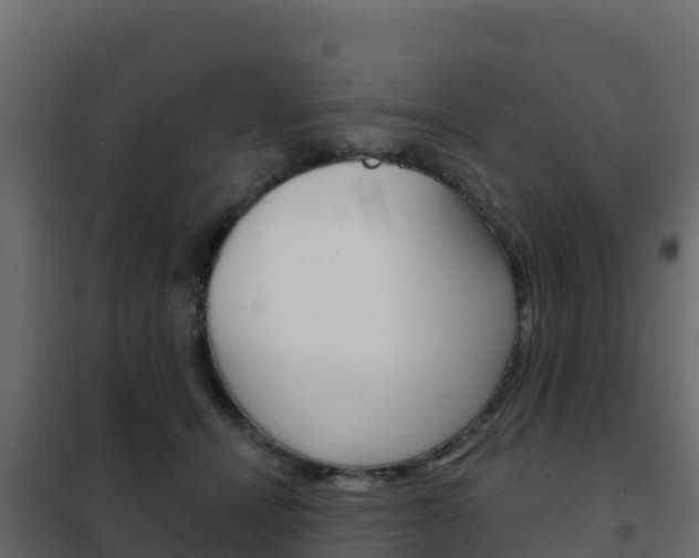 X0000102490464200808081100