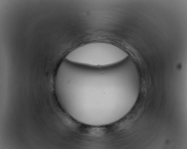 X0000102490465200808081100