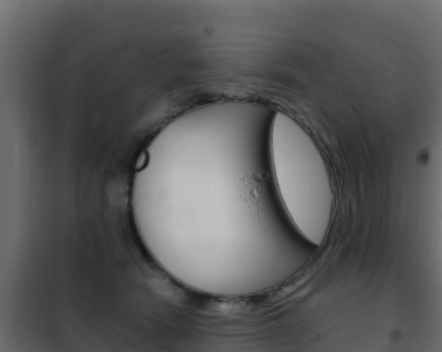 X0000102490466200808081100