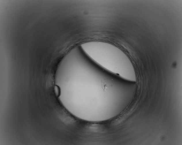 X0000102490467200808081100