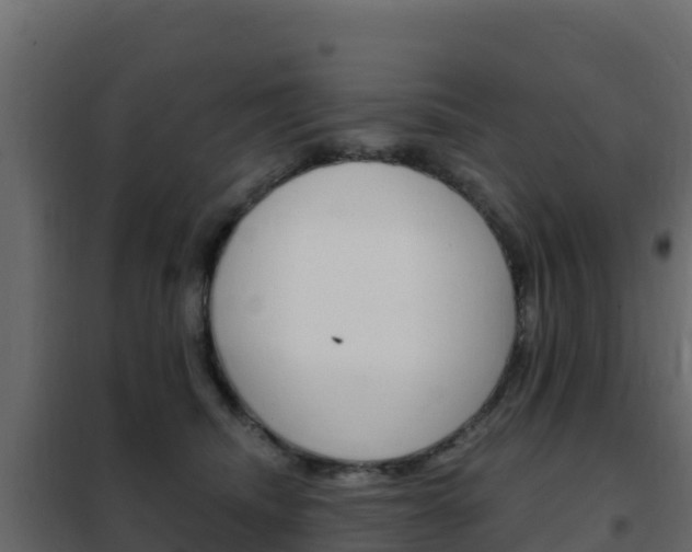X0000102490468200808081100