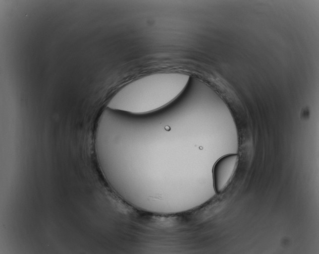 X0000102490469200808081100