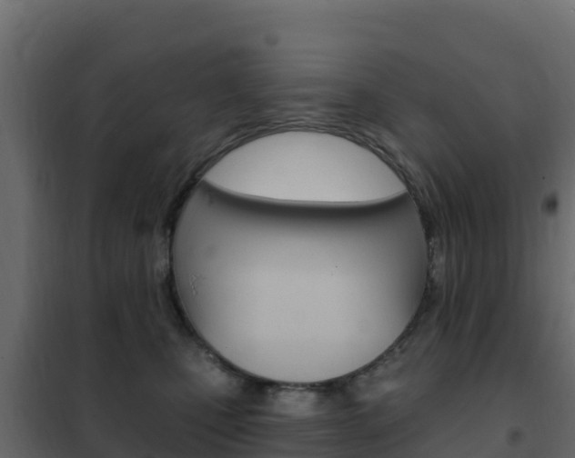 X0000102490471200808081100