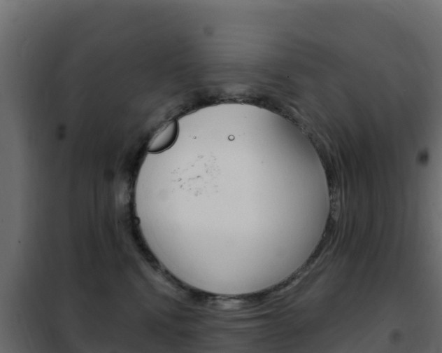 X0000102490472200808081100