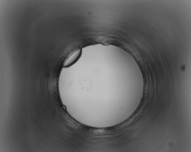 X0000102490473200808081100