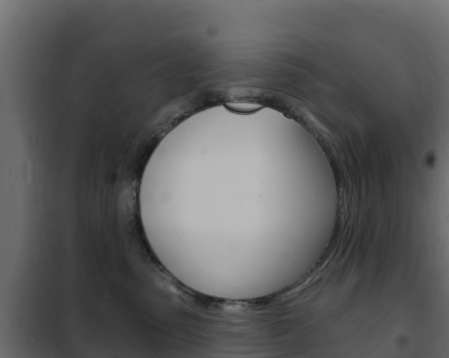 X0000102490475200808081100