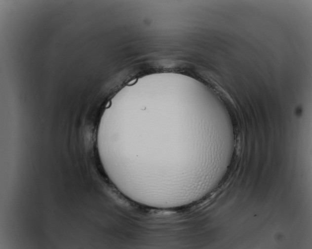 X0000102490476200808081100