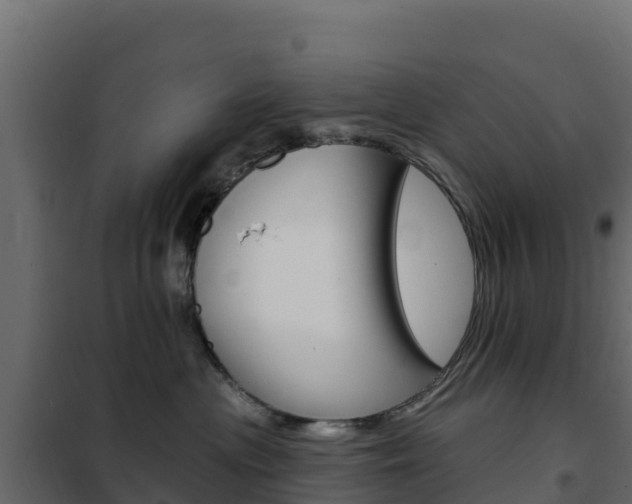 X0000102490477200808081100