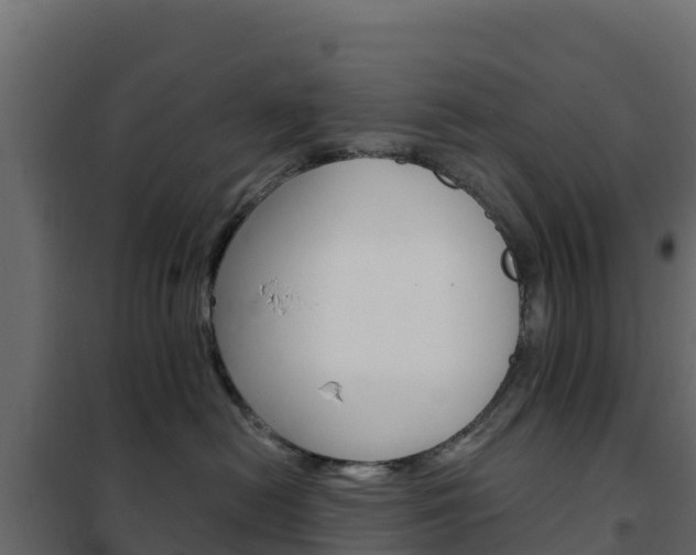 X0000102490478200808081100