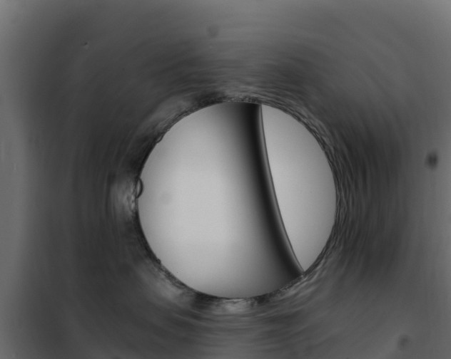 X0000102490479200808081100