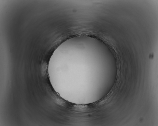 X0000102490480200808081100