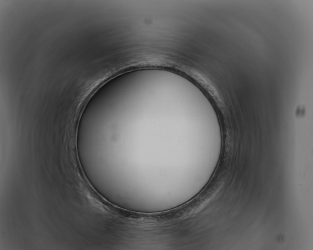 X0000102490481200808081100