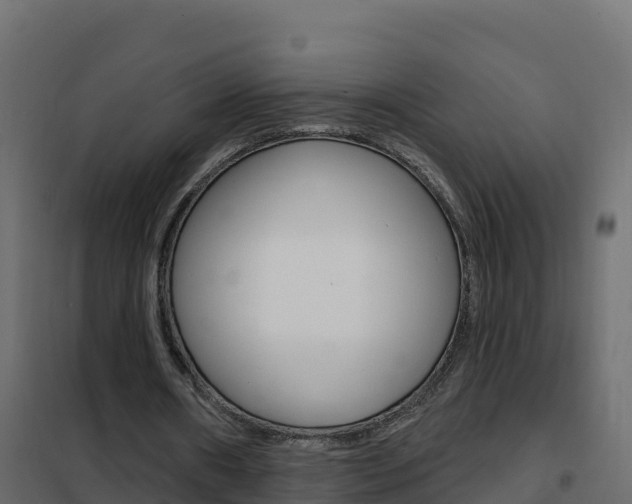 X0000102490482200808081100