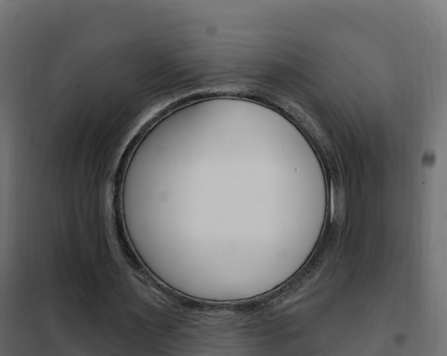 X0000102490483200808081100