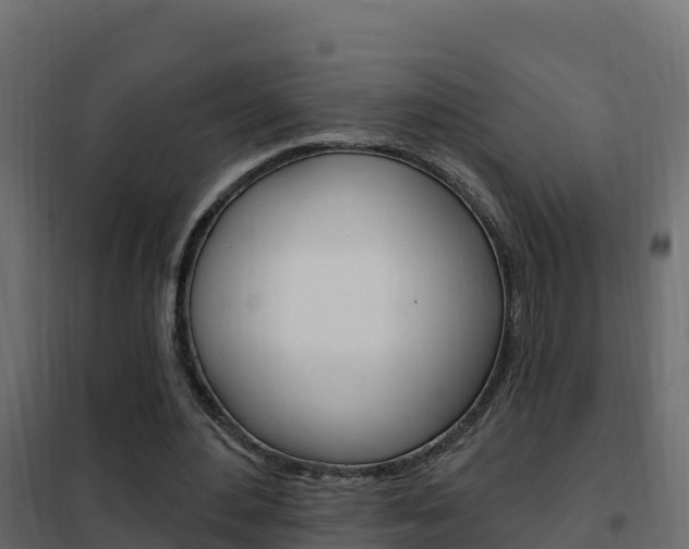 X0000102490484200808081100
