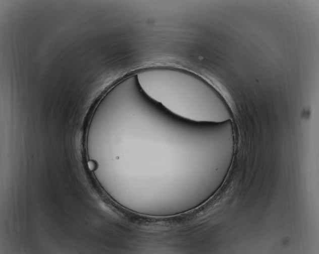 X0000102490485200808081059