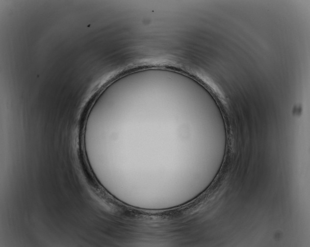 X0000102490486200808081059