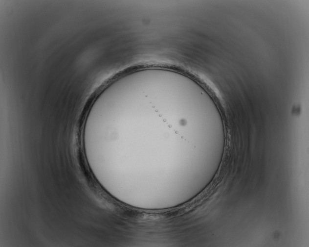 X0000102490487200808081059