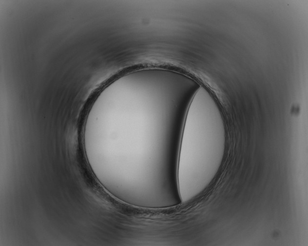 X0000102490488200808081059
