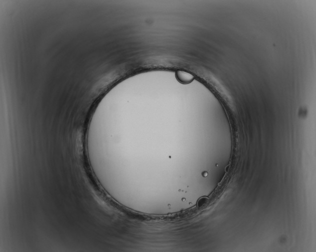 X0000102490489200808081059