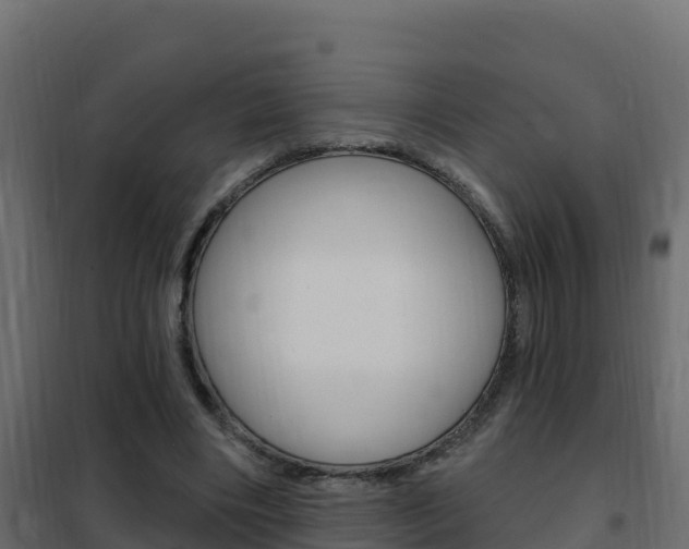X0000102490490200808081059