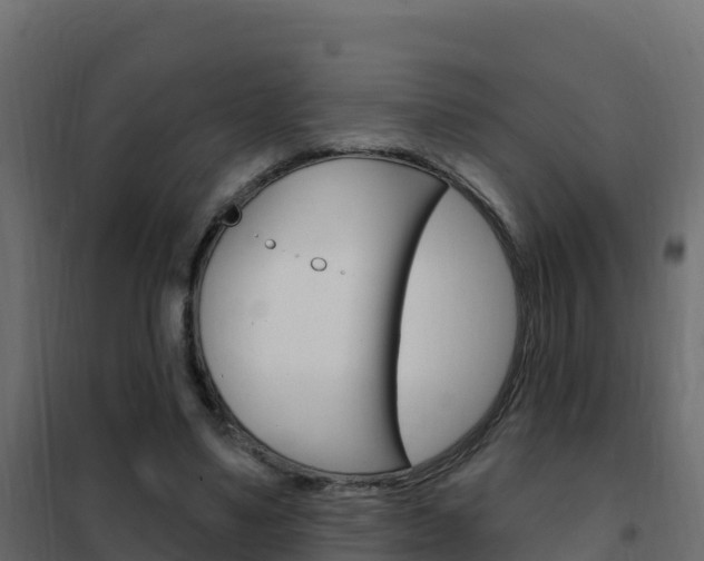 X0000102490491200808081059