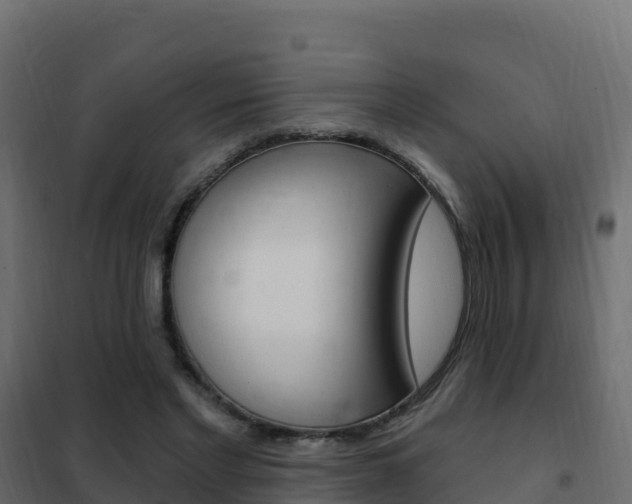 X0000102490493200808081059