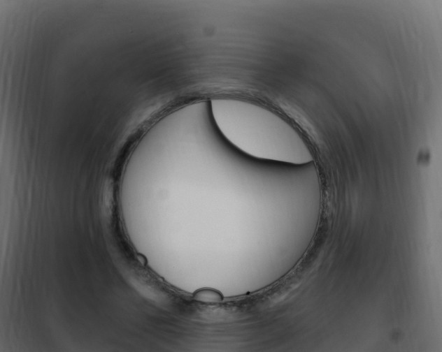 X0000102490494200808081059