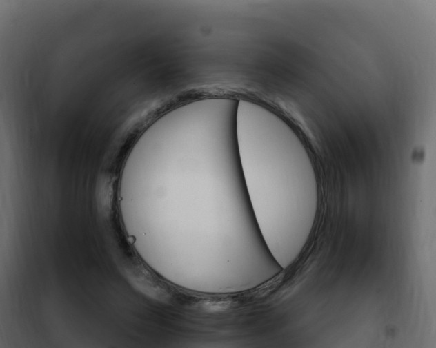 X0000102490495200808081059