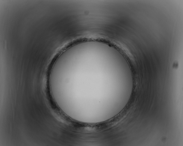 X0000102490496200808081059