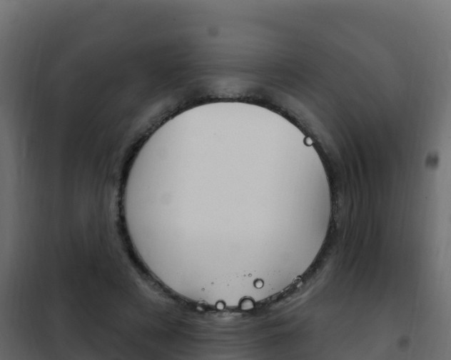 X0000102490497200808081059