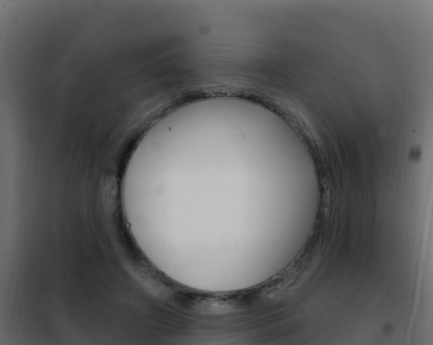 X0000102490498200808081059