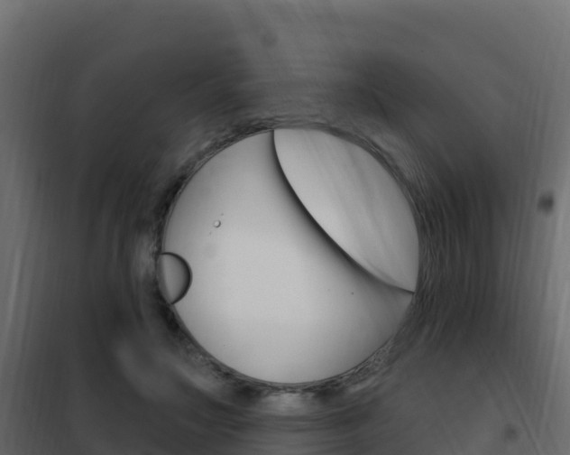 X0000102490499200808081059