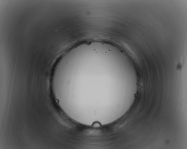 X0000102490500200808081059