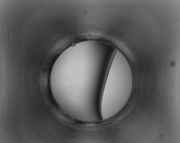 X0000102490501200808081059