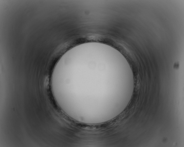 X0000102490502200808081059