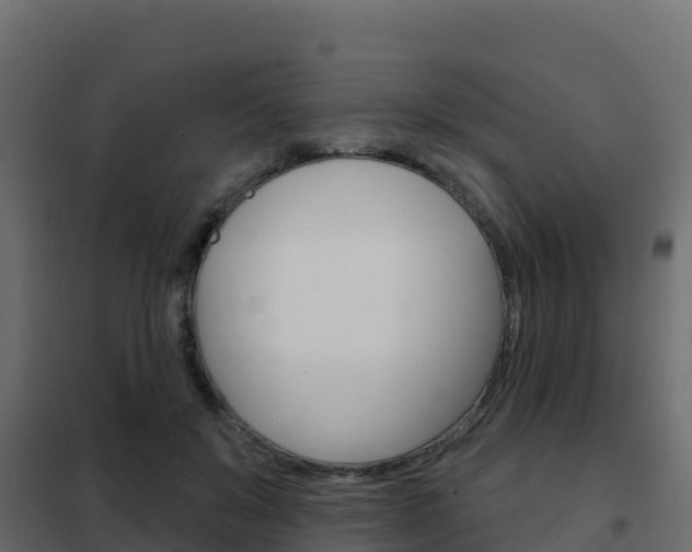 X0000102490503200808081059