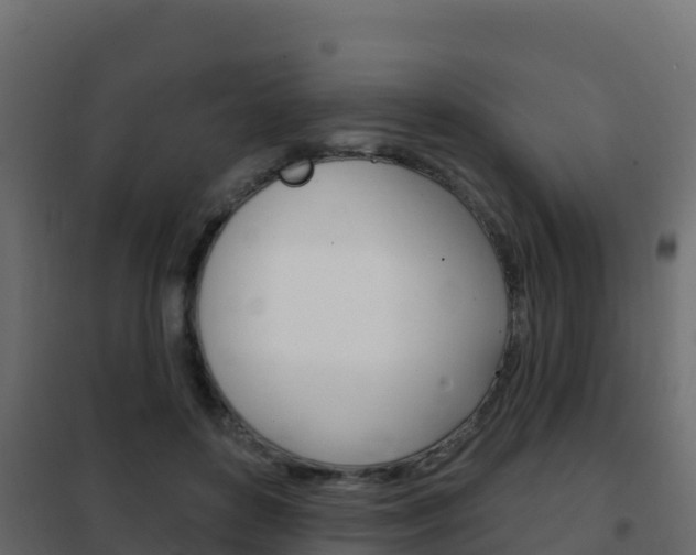 X0000102490504200808081059