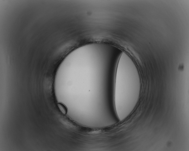 X0000102490505200808081059