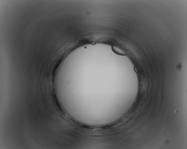 X0000102490506200808081059