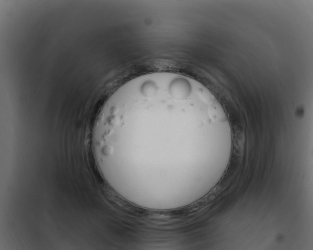 X0000102490507200808081059