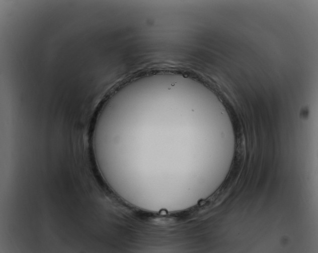X0000102490508200808081059