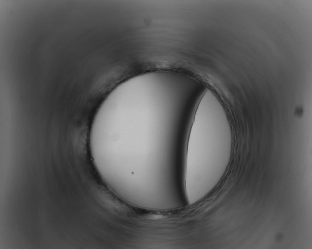 X0000102490509200808081059