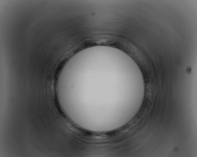 X0000102490510200808081059