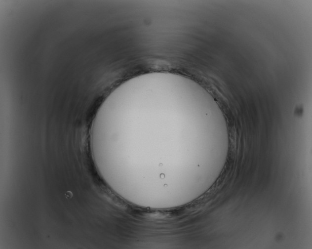 X0000102490511200808081059