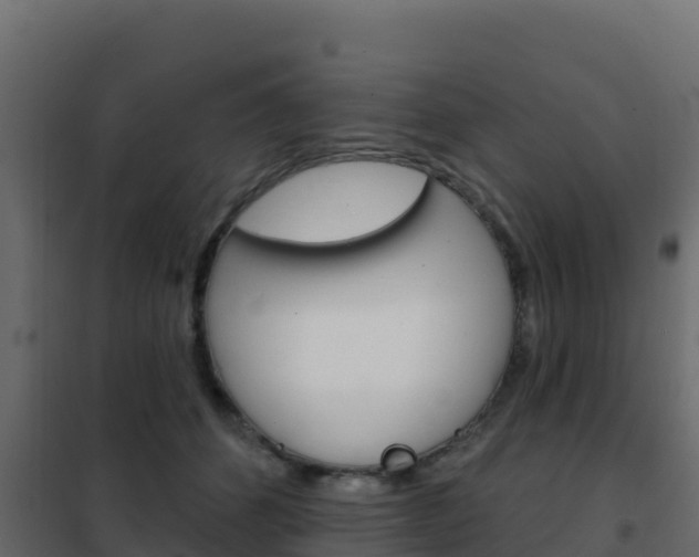 X0000102490512200808081059